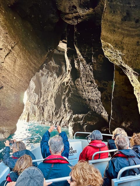 Faial Island: Unique boat tour to the Capelinhos volcano - Sea life chances: dolphins, whales, turtles, and keeping your eyes open
