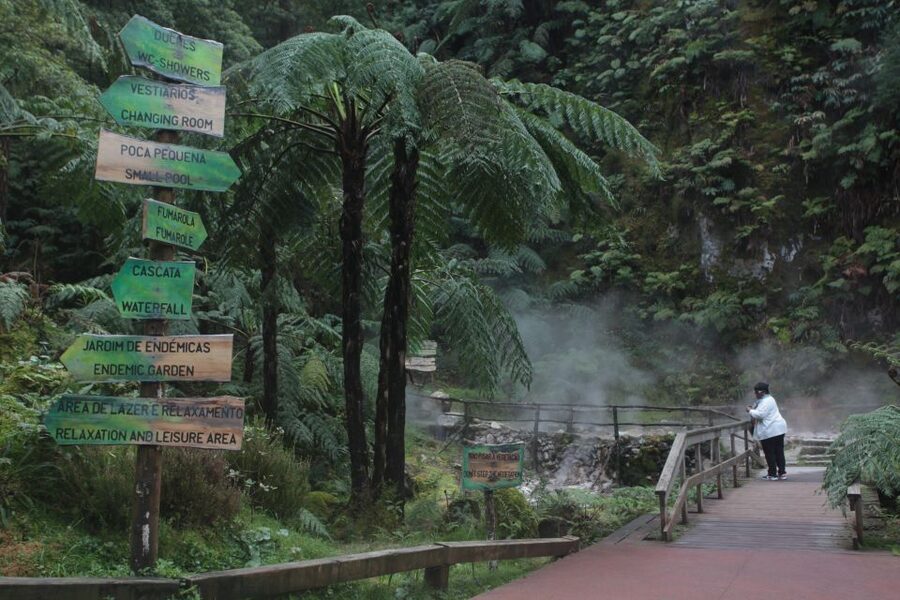 Fire Lake & Tea Factory & Pinneaple - A four-hour hit of São Miguel’s highlights