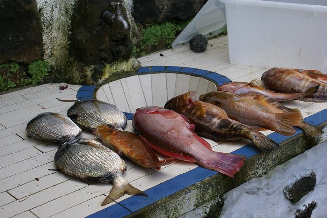 Fish In the Azores - Group Energy: When Guides Like António Keep It Smooth