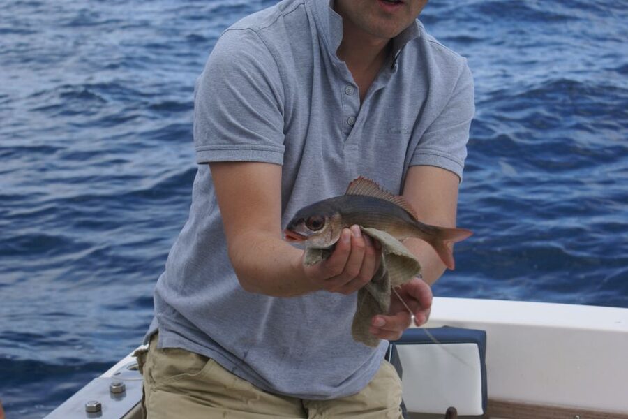 Fishing in the Azores - Lunch With Your Catch: Salad, Cheese, Wine, and Local Touches