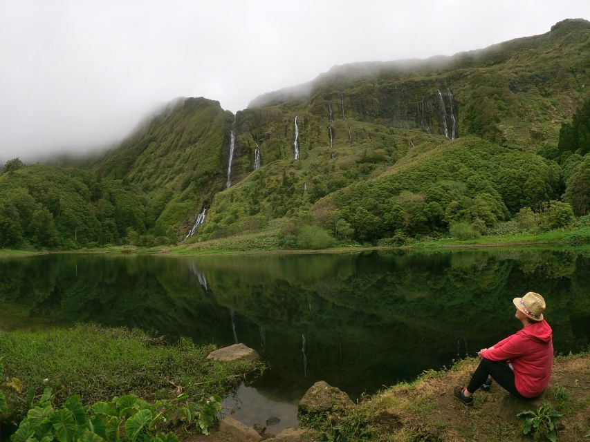 Flores Island: Full-Day Guided Tour with Lunch - Price and value: what you get for about $111