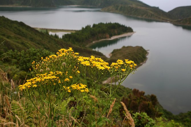 Fogo Lake hiking tour - full day - Lunch included: fuel that keeps the afternoon from dragging