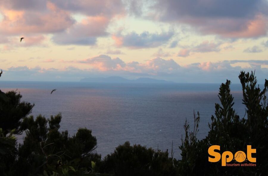 From Angra: Sunset with Local Products - Who This Sunset Picnic Tour Suits Best