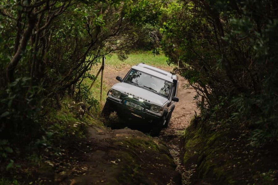 From Angra: Terceira Island Full-Day Jeep Tour - Why this Terceira Jeep tour works so well