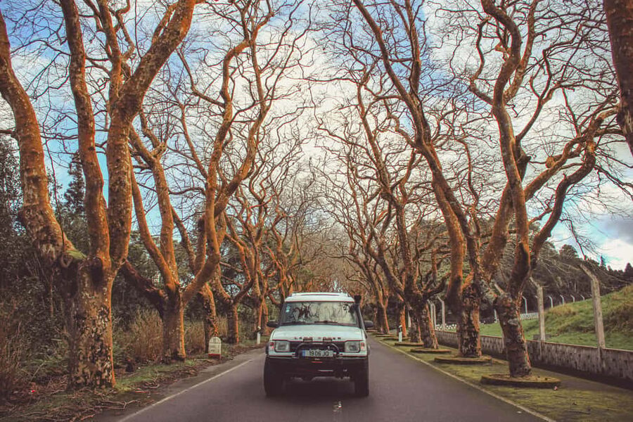 From Angra: Terceira Island Full-Day Jeep Tour - The central island scenery that closes the loop