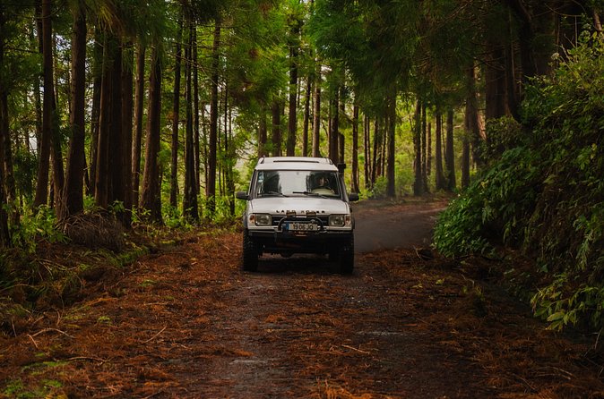 From Angra: Terceira Island Full-Day Jeep Tour (Private) - Price and value for a private group up to six