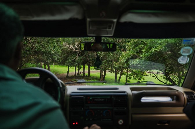 From Angra: Terceira Island Full-Day Jeep Tour (Private) - Who this jeep tour suits best (and who should skip it)