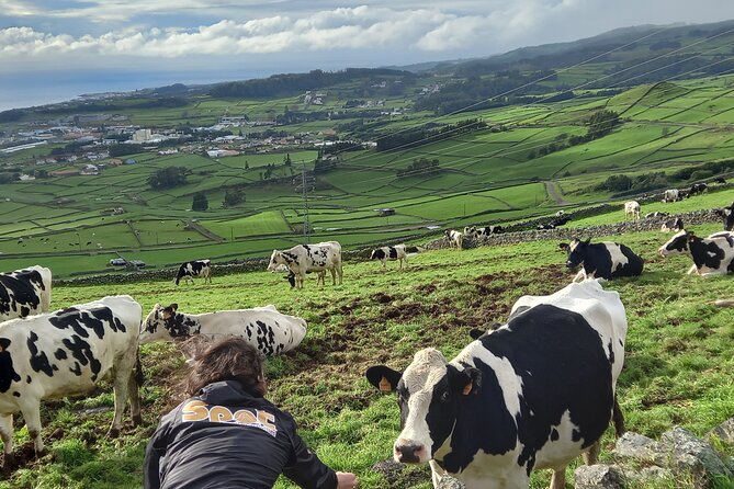 From Angra: Terceira Island Full-Day Jeep Tour (Shared Tour) - Miradouro da Serra de Santa Barbara, then Serreta’s cliff or trail choice