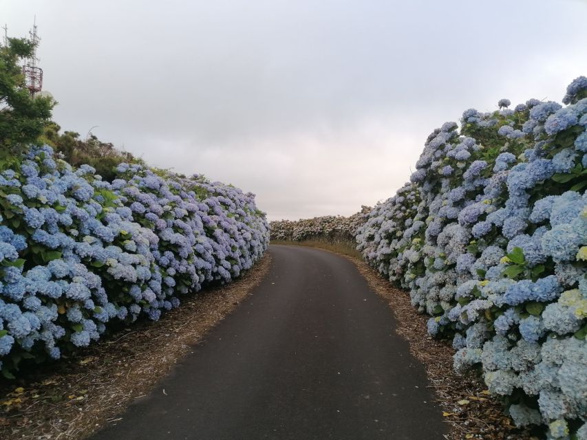 From Angra: Terceira Island Full-Day Tour - Shared vs Private (and Walking Option): Picking the Right Pace for Your Style