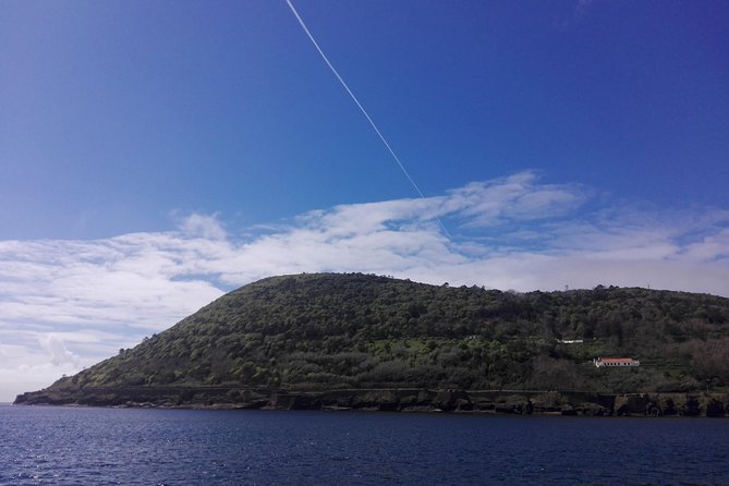 From Angra: Terceira Island Full-Day Tour (Private) - Serra do Cume viewpoint, the biggest caldeira moment