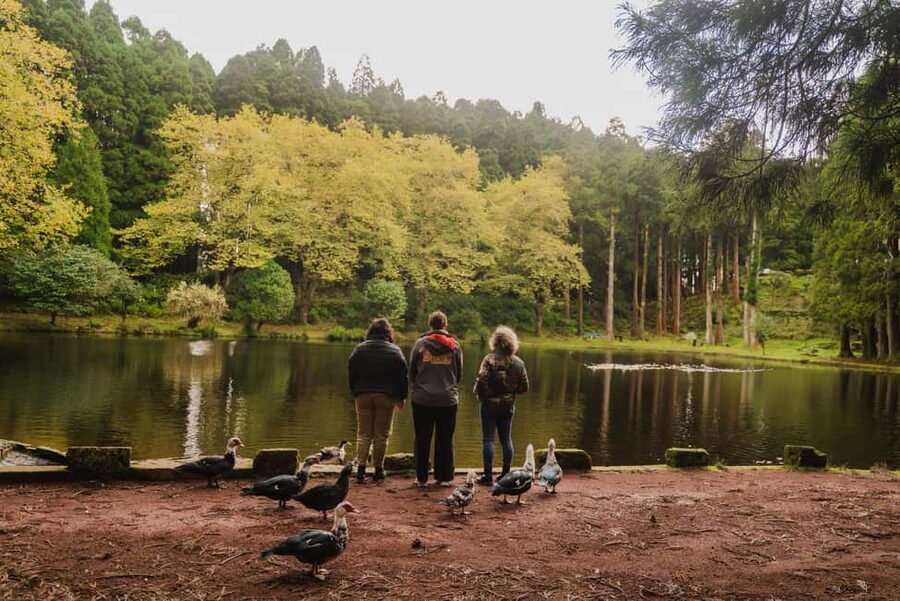 From Angra: Terceira Island Half-Day Tour - Why this half-day Terceira tour fits tight schedules