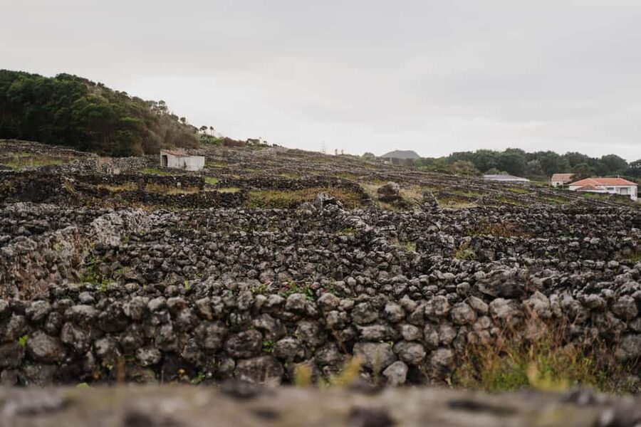 From Angra: Terceira Island Half-Day Tour - Praia da Vitória: a quick taste of the island’s other side