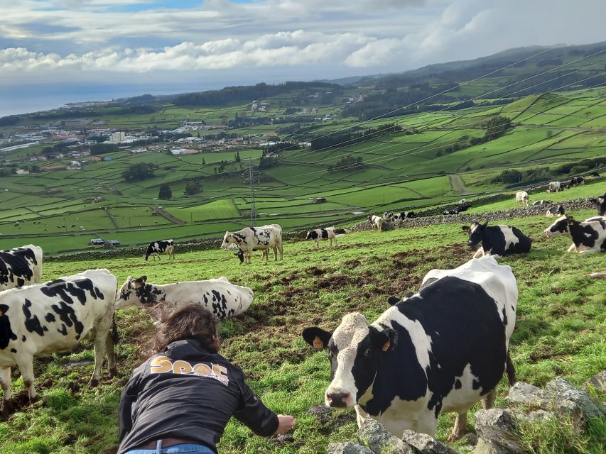 From Angra: Terceira Island Half-Day Tour - Optional Algar do Carvao volcano: add it if you want the extra punch
