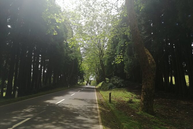 From Angra: Terceira Island Half-Day Tour (Private) - Why This Private Format Works So Well on Terceira