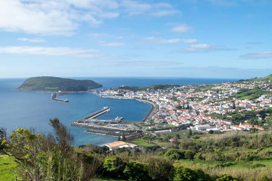 From Horta: Full-Day Island Tour - Caldeira of Faial and the Blue Hydrangeas Theme