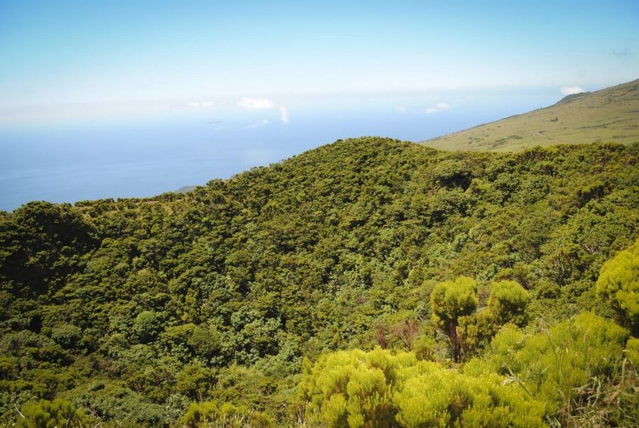 From Madalena: Pico Volcanoes and Lakes Guided Day Tour - Lunch between volcanoes: a light meal that keeps the day moving