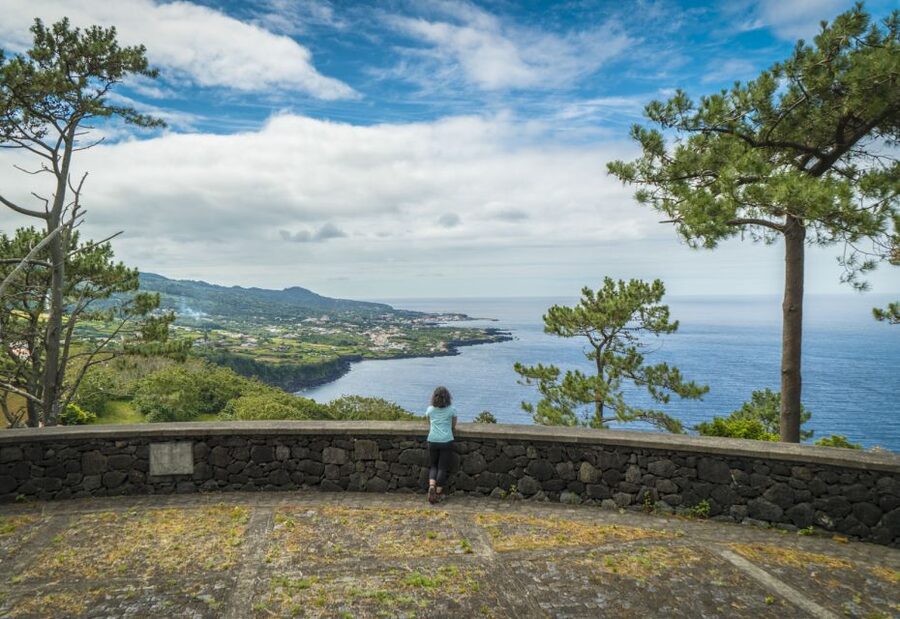 From Madalena: Pico Volcanoes and Lakes Guided Day Tour - The van ride reality: steps, windows, and comfort