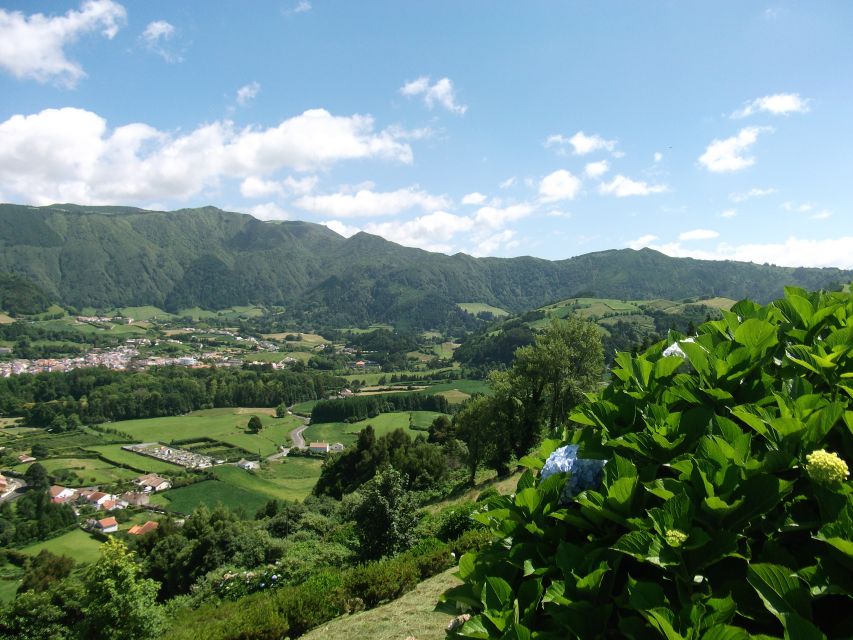 From Ponta Delgada: Furnas Lake Shore 4x4 Guided Day Trip - Gorreana Tea Factory: A Different Side of the Island
