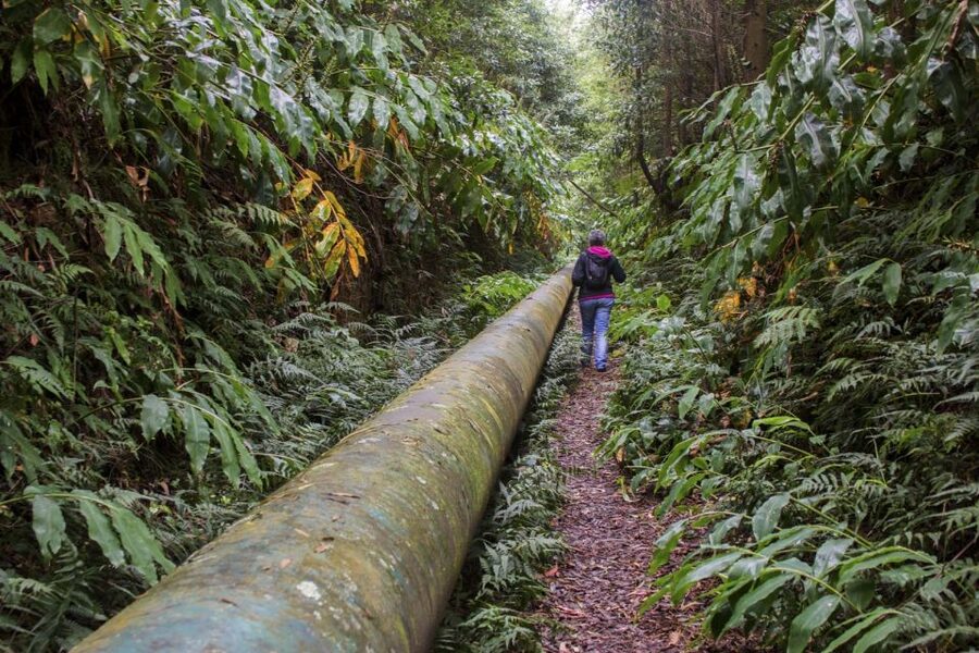 From Ponta Delgada: Guided Walking Tour to Salto do Cabrito - Salto do Cabrito in real life, not just a photo