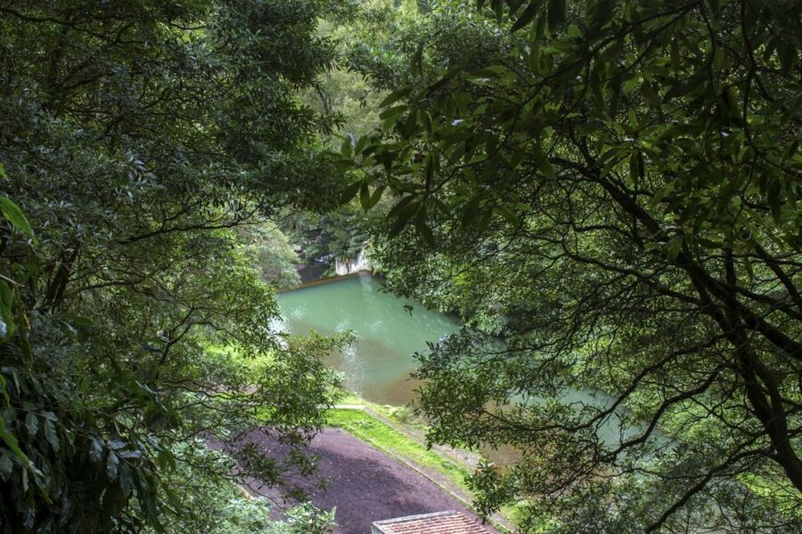 From Ponta Delgada: Guided Walking Tour to Salto do Cabrito - Price and value: why $48 makes sense for what you get
