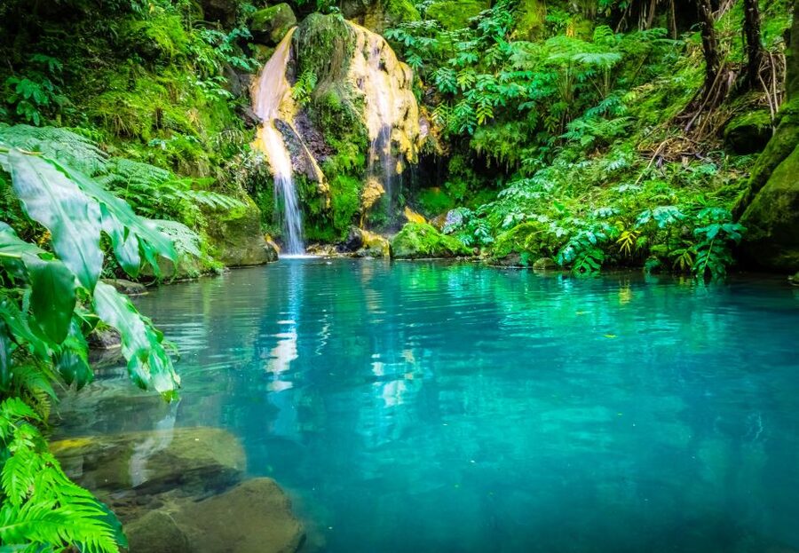 From Ponta Delgada: Lagoa do Fogo & Hot Springs Day Trip - Price and value: where the $82 really goes
