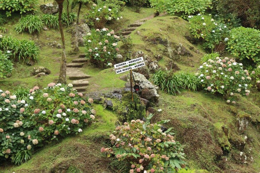 From Ponta Delgada: Nordeste 4x4 Guided Day Trip & Lunch - Pickup, Timing, and How the Day Flows