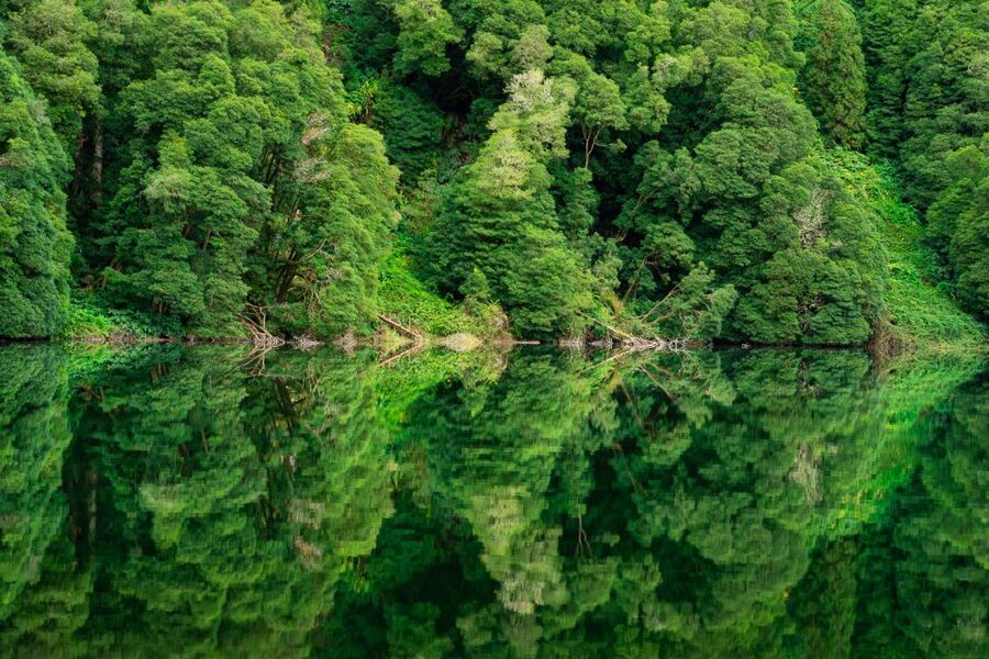 From Ponta Delgada: Sete Cidades Jeep, Bike, & Kayak Ride - Exploring the crater and the peninsula views: where stops feel worth it