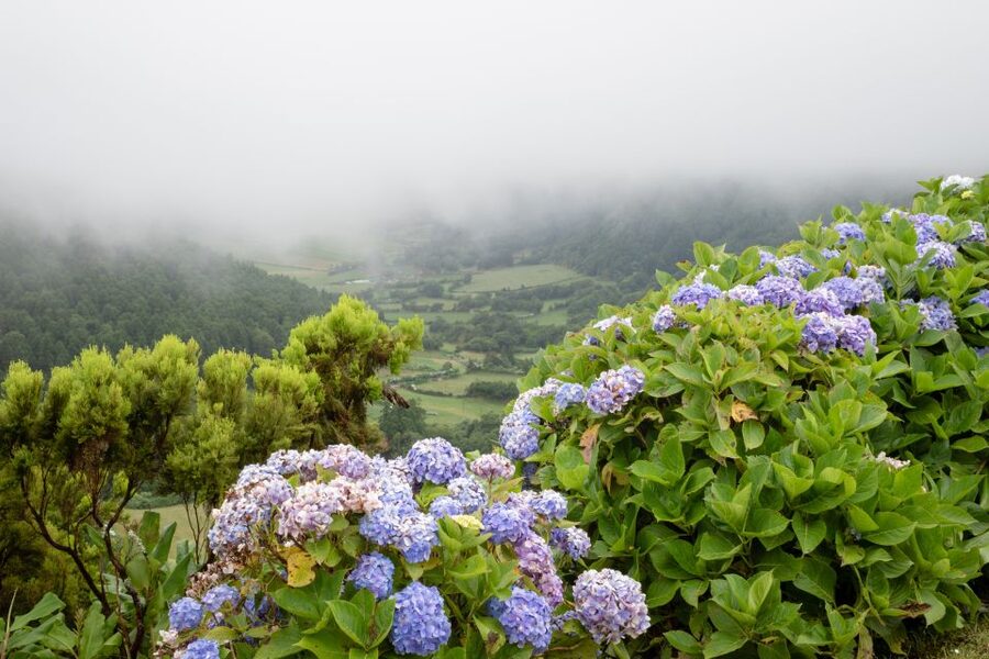 From Ponta Delgada: Vista do Rei to Sete Cidades Guided Trek - Key highlights at a glance