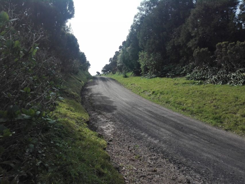 From Ponta Delgada: Vista do Rei to Sete Cidades Guided Trek - Caldeira do Alferes and the crater rim feel