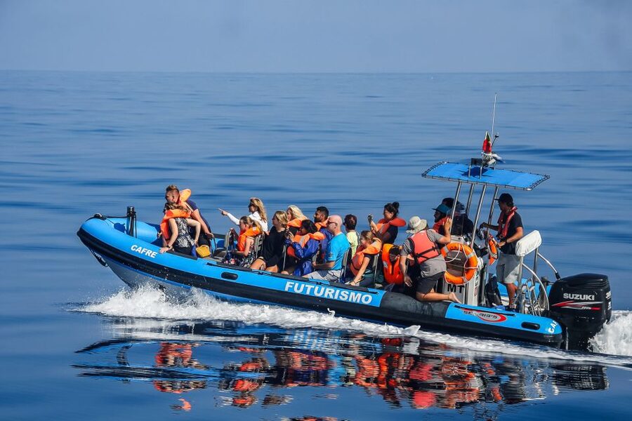 From Ponta Delgada: Whale and Dolphin Watching Trip - Arriving at Futurismo Azores Adventures and the short safety start