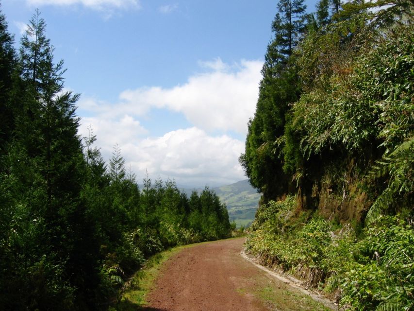 Full-Day 4x4 Nordeste Azores Tour from Ponta Delgada - Northeast São Miguel from a 4x4, the point of the trip