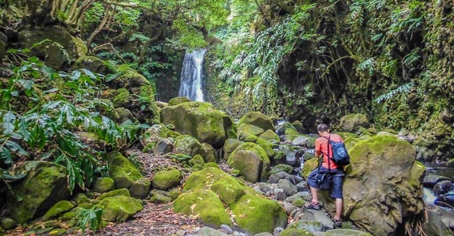 Full-Day Faial da Terra + Nordeste from Ponta Delgada - Key things you’ll remember about Faial da Terra + Nordeste from Ponta Delgada