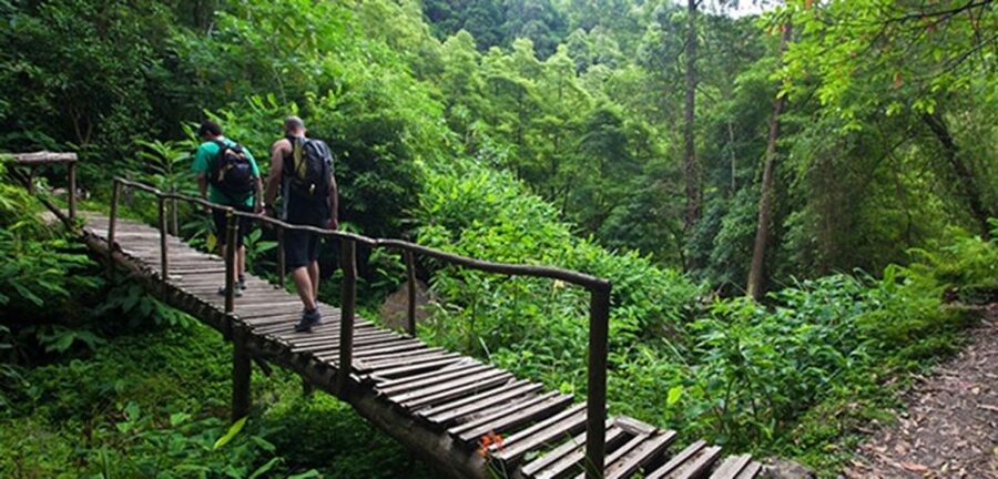 Full-Day Faial da Terra + Nordeste from Ponta Delgada - Sanguinho abandoned village walk and what restoration changes