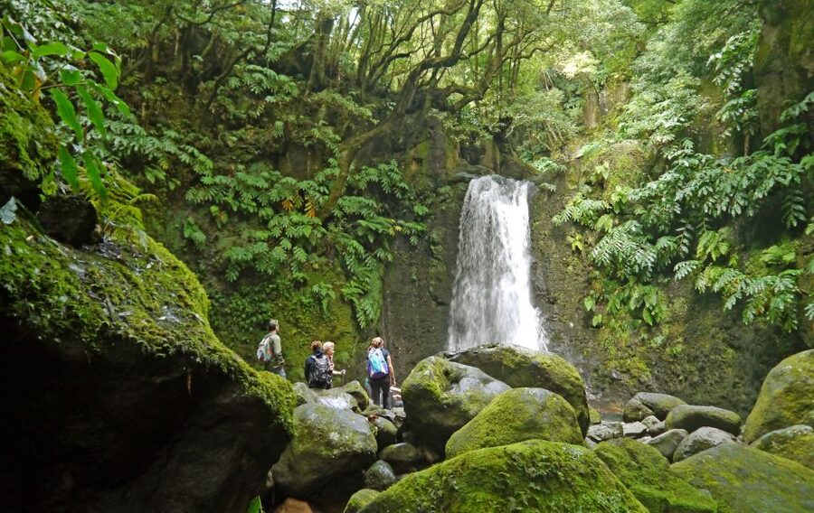 Full-Day Faial da Terra + Nordeste from Ponta Delgada - Ribeira dos Caldeirões Park: waterfalls, including one over 40 meters