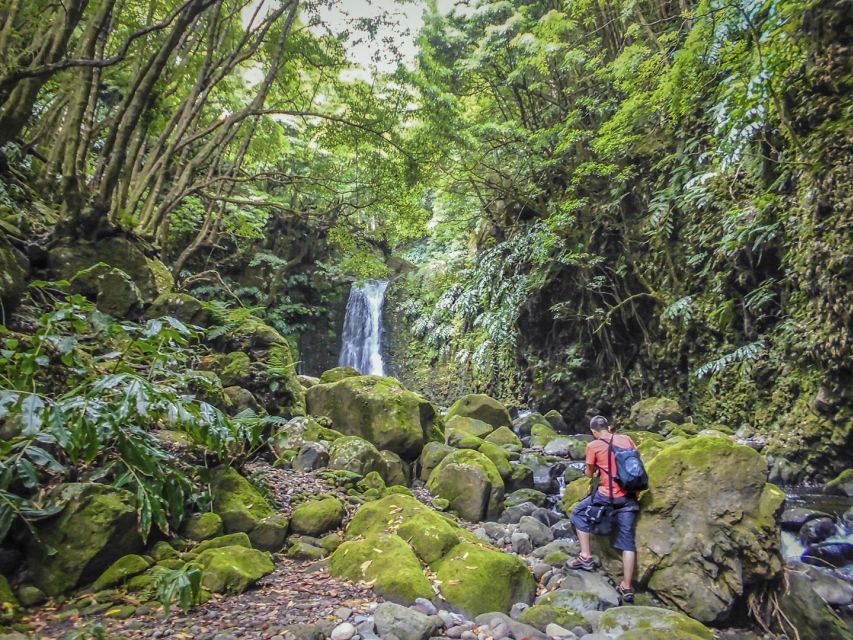 Full-Day Faial da Terra + Nordeste from Ponta Delgada - Starting at Futurismo Azores Adventures, then straight into the scenery
