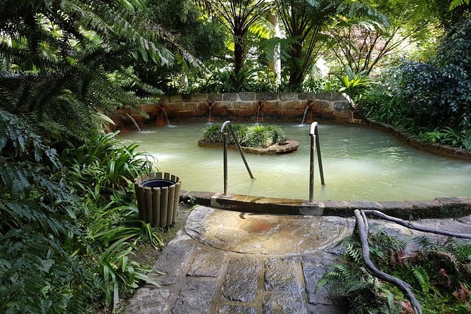 Full-Day Furnas Tour: Hot Springs, Traditional Lunch & Tea - Stop 4: Parque Terra Nostra and the Thermal Pool Break You Deserve