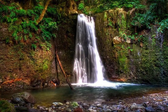 Full Day Hiking Faial da Terra (Min. 2 persons) - Key highlights worth planning for