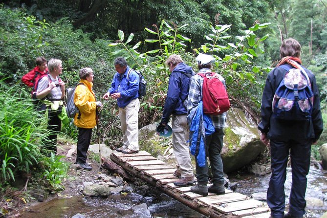 Full Day Hiking Faial da Terra (Min. 2 persons) - From Sanguinho to the waterfall: why the start feels steep