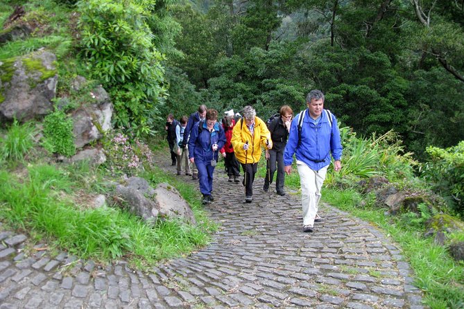 Full Day Hiking Faial da Terra (Min. 2 persons) - Pace and fitness: the “moderate” part you should actually expect