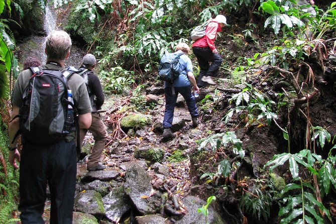 Full Day Hiking Faial da Terra (Min. 2 persons) - The guides make or break the day, and the good news is you’re covered