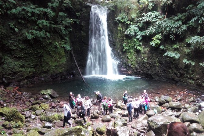 Full Day Hiking Faial da Terra (Min. 2 persons) - Getting from Ponta Delgada: pickup that saves your morning