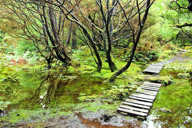 Full-Day Hiking Tour in Terceira Island - Mistérios Negros - Key Points You’ll Care About
