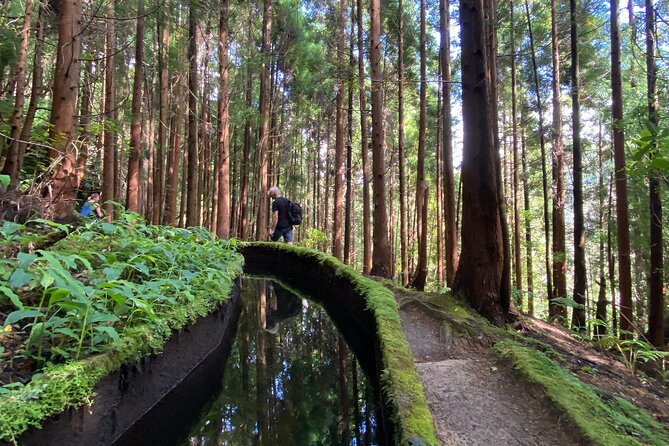 Full Day Hiking Trail in Lagoa do Fogo Sao Miguel - Key highlights to know before you go