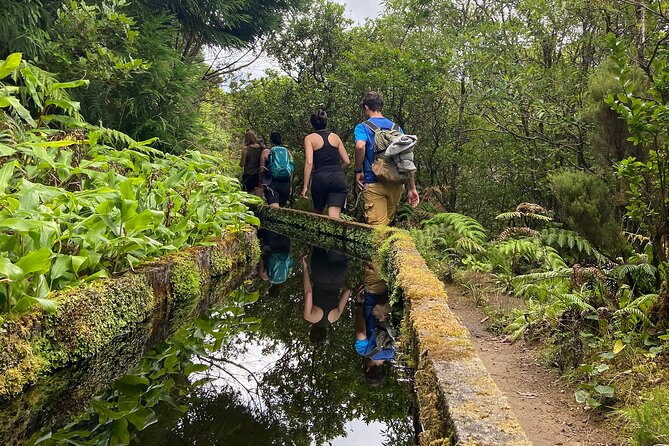Full Day Hiking Trail in Lagoa do Fogo Sao Miguel - Guides and group size: what “small group” buys you