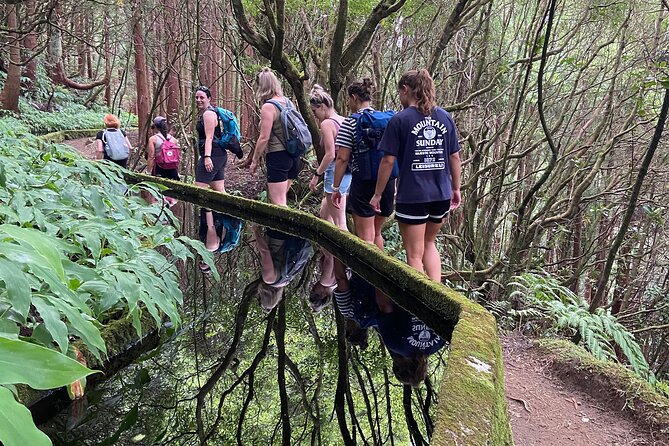 Full Day Hiking Trail in Lagoa do Fogo Sao Miguel - Price and value: is $76.89 a good deal?