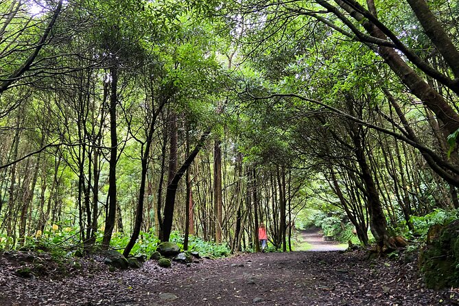 Full Day Hiking Trail Janela do Inferno + Caldeira Velha - Stop for snacks and the pace reset near Ribeira dos Caldeirões