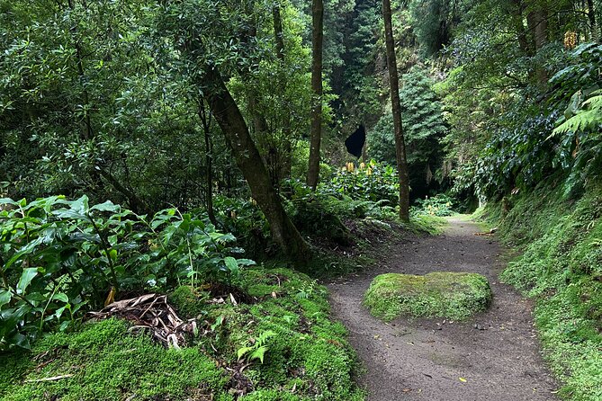 Full Day Hiking Trail Janela do Inferno + Caldeira Velha - Price and value: what $90.70 really buys you
