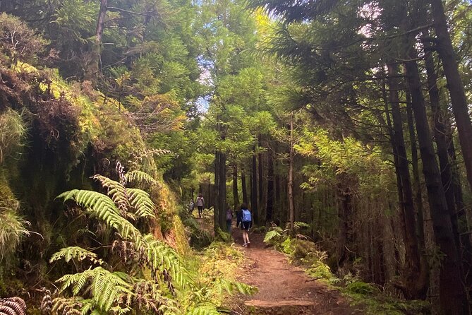 Full Day Hiking Trail Sete Cidades and Ferraria - Sete Cidades and Ferraria, one day that actually makes sense