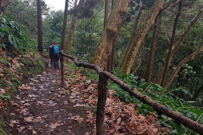 Full Day Hiking Trail Waterfalls- in Lomba de São Pedro - Azores - Key things I’d plan around