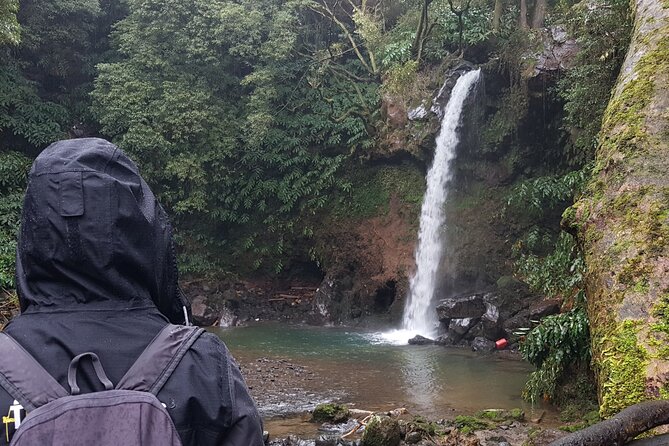 Full Day Hiking Trail Waterfalls- in Lomba de São Pedro - Azores - Gorreana tea sets the tone on São Miguel’s north coast